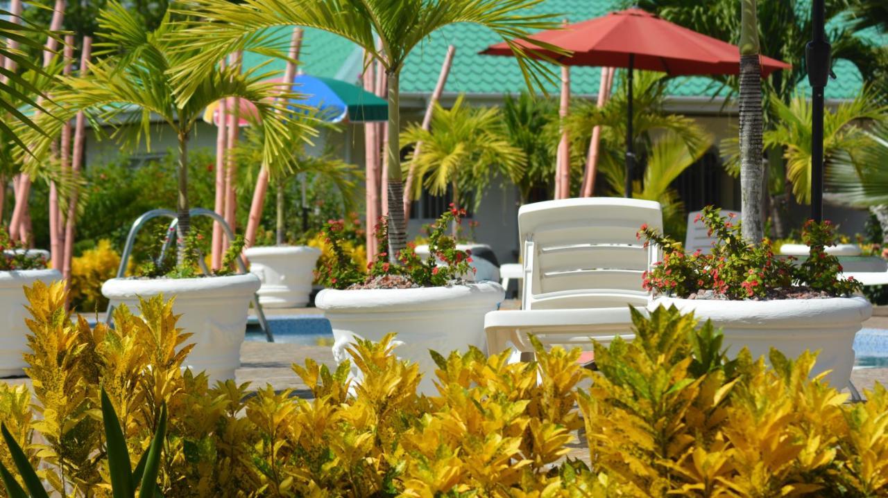 Belle Vacance Grand Anse  Exteriér fotografie